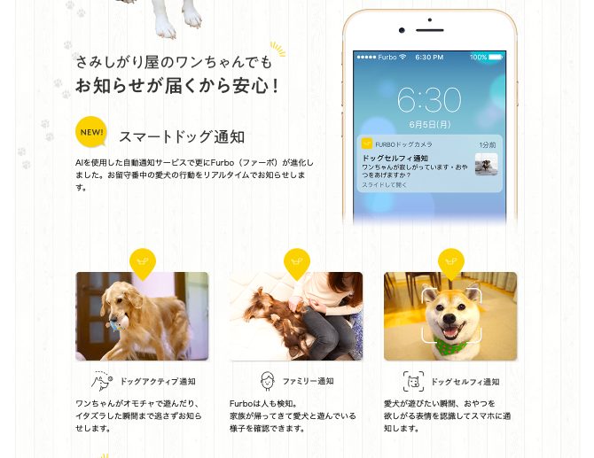 ドッグカメラ「Furbo」ならリアルタイムで愛犬の様子がわかる