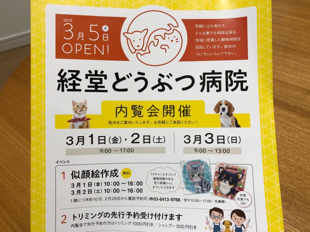 経堂どうぶつ病院のチラシ
