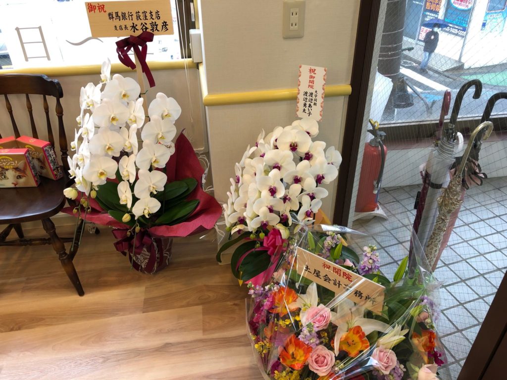 経堂どうぶつ病院の花