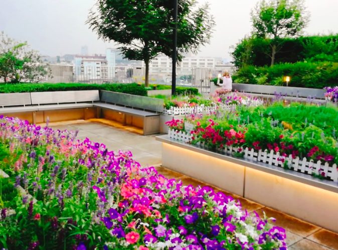 経堂コルティの屋上庭園が最高 色とりどりの花がきれい 世田谷ローカル Setagaya Local