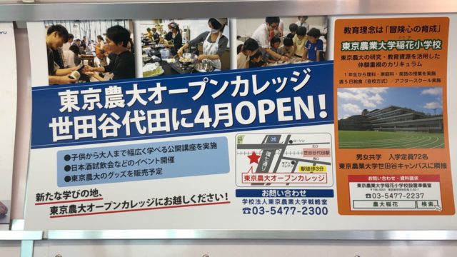 もう疲れない ディズニーを快適に過ごす持ち物ランキング 世田谷ローカル Setagaya Local