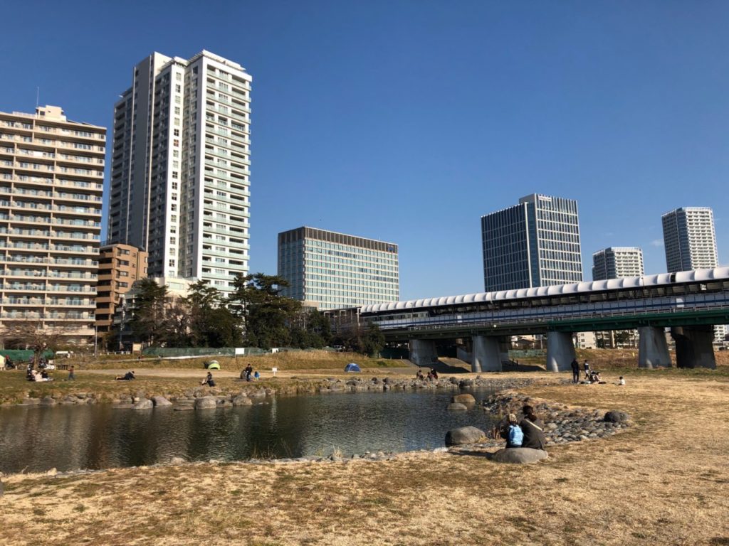 世田谷区兵庫島公園から見る二子玉川駅
