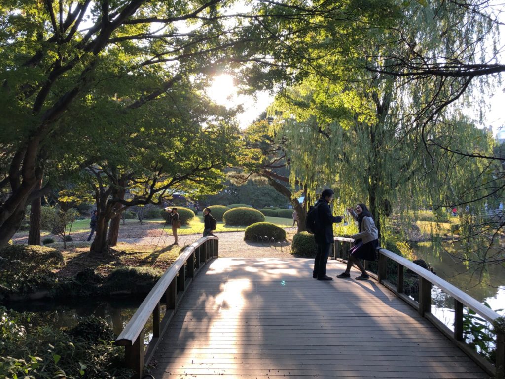 新宿御苑の日本庭園