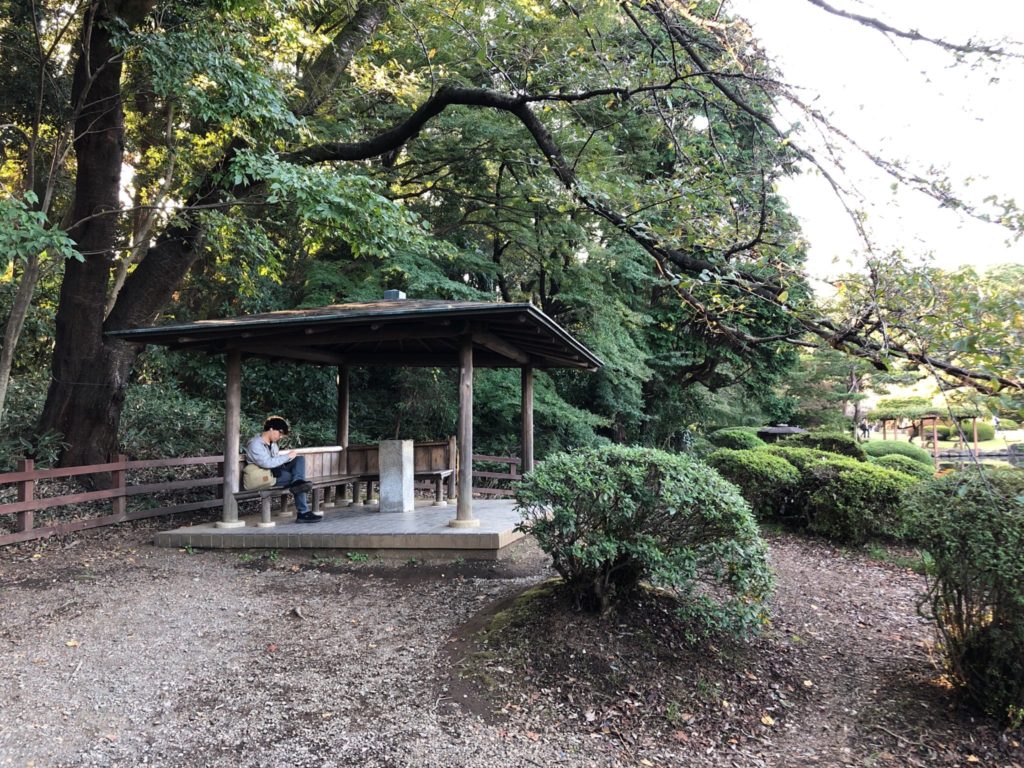 新宿御苑で年パスをつくってみた 入場料値上げで年パスがお得 世田谷ローカル Setagaya Local