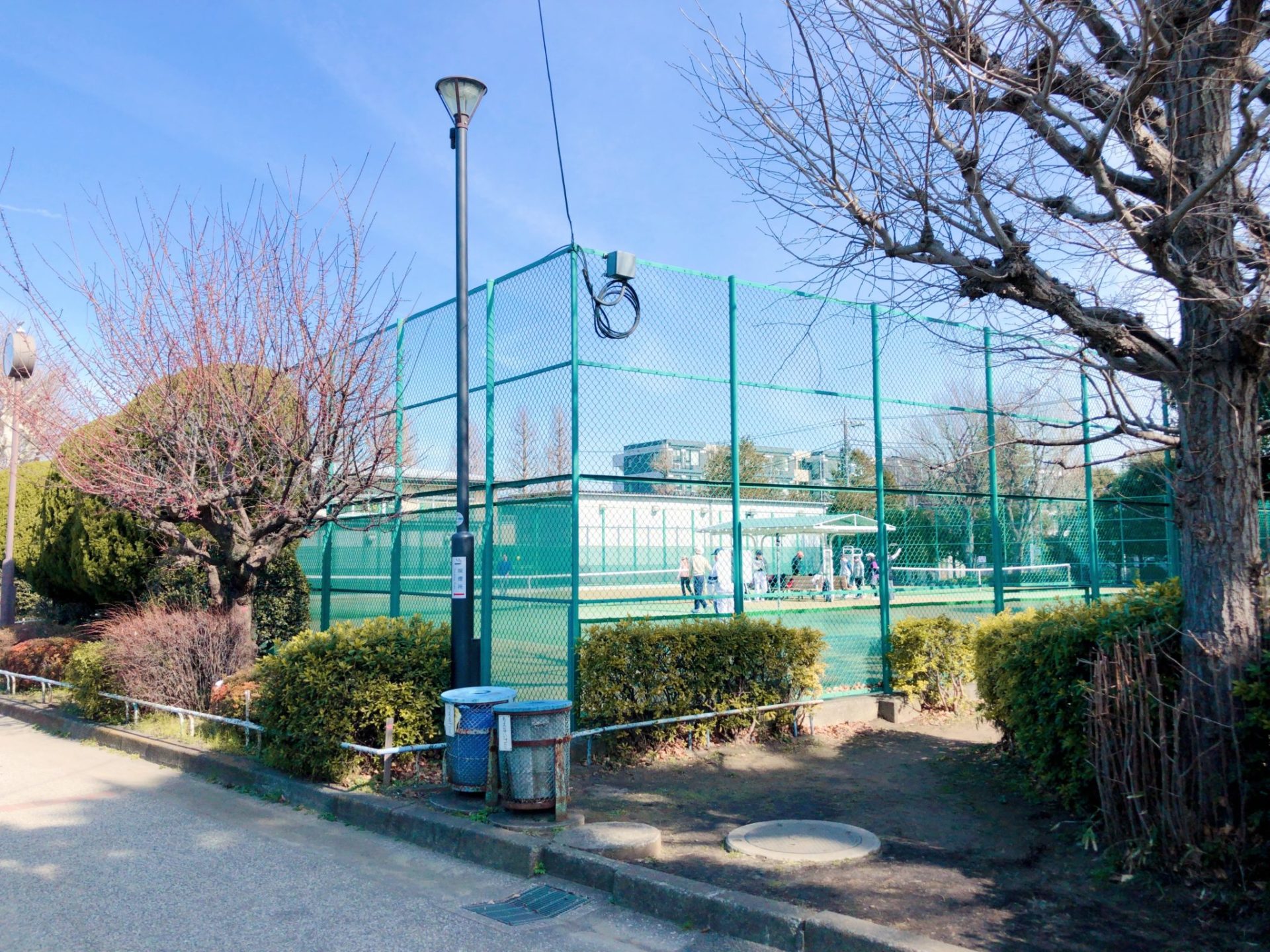 玉川野毛町公園のテニスコート