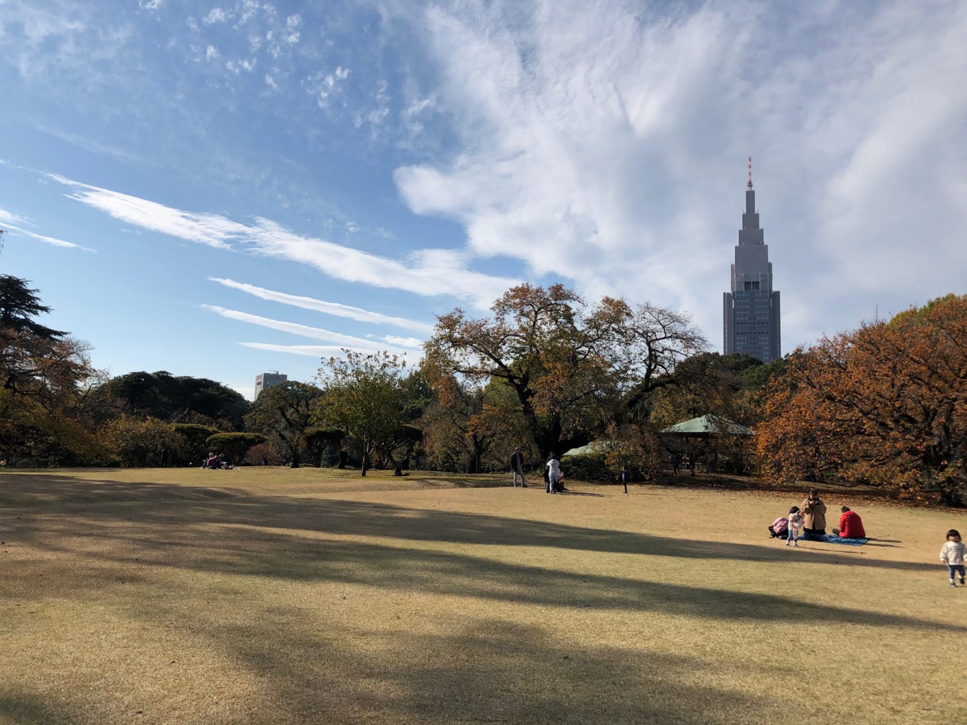 新宿御苑 紅葉ライトアップに行ってみた 世田谷ローカル Setagaya Local