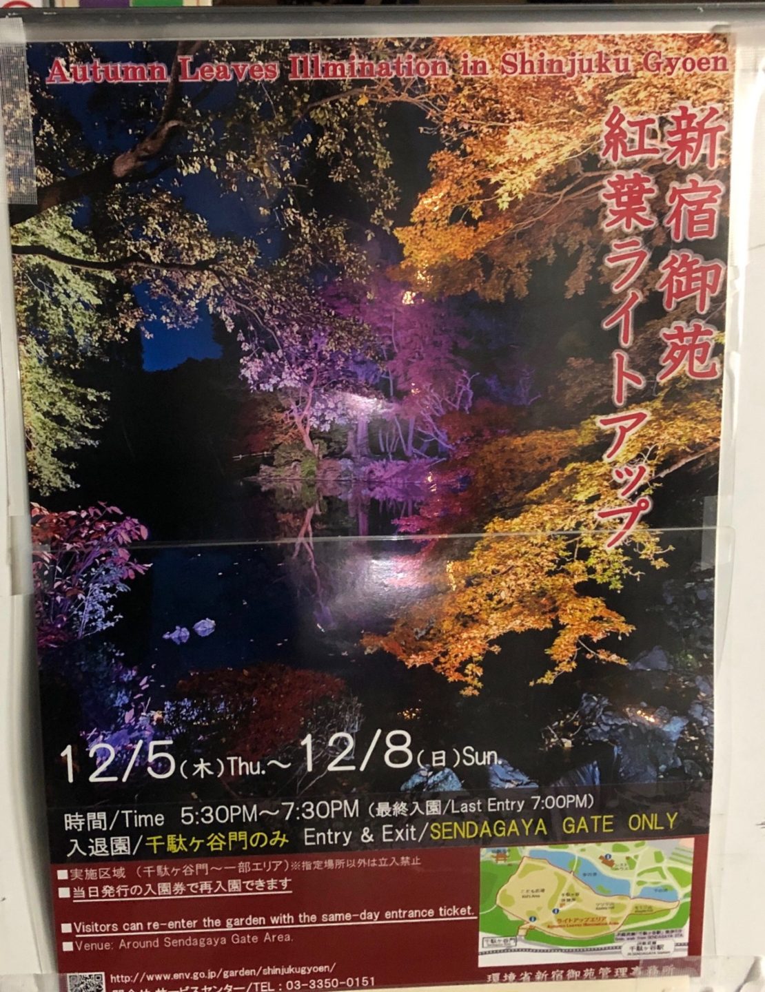 新宿御苑 紅葉ライトアップに行ってみた 世田谷ローカル Setagaya Local