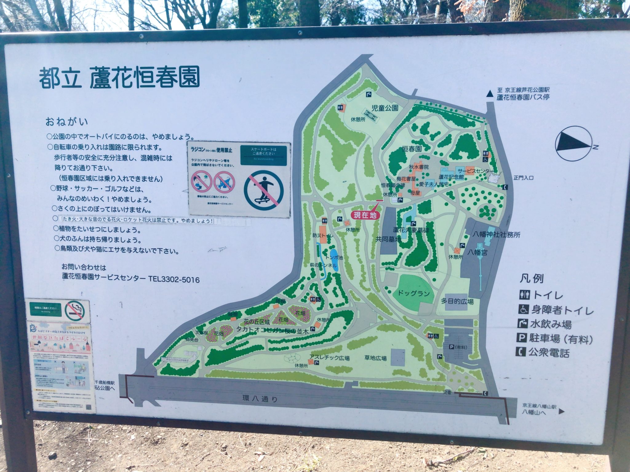 【芦花公園】花の丘が復活!徳富蘆花の家もある|世田谷ローカル(SETAGAYA LOCAL)