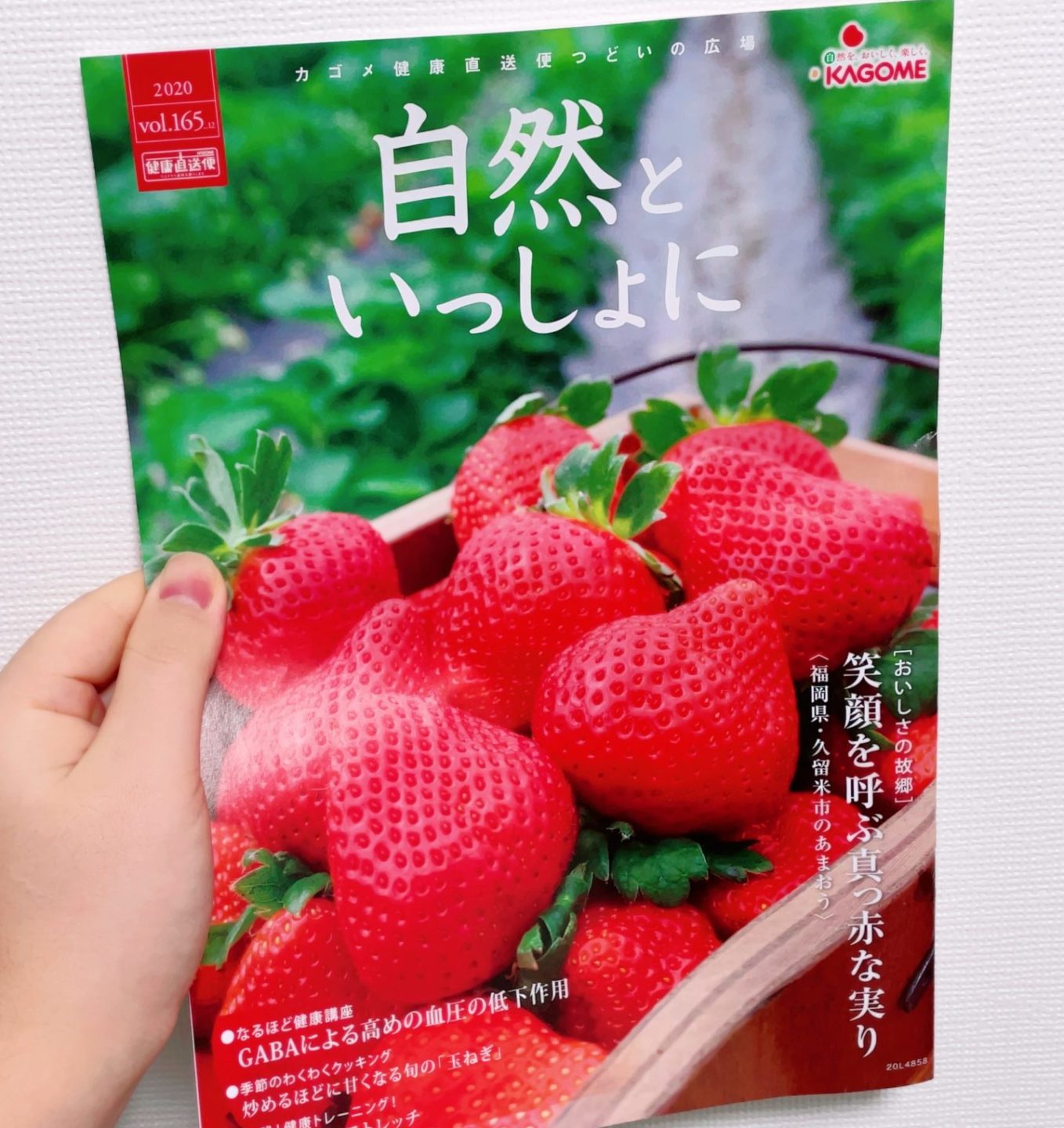 カゴメ植物乳酸菌ラブレのサプリの広報誌