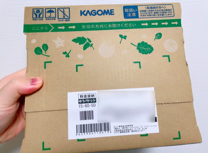 カゴメ植物乳酸菌ラブレのサプリお試ししてみた!