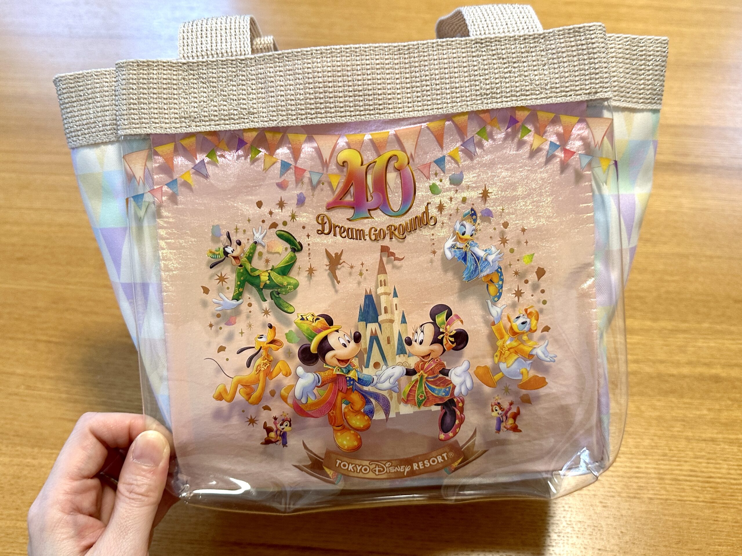 ディズニー40周年”ドリームゴーラウンド”のお土産　スーベニアランチバッグ